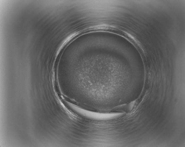 X0000052571418200507152240