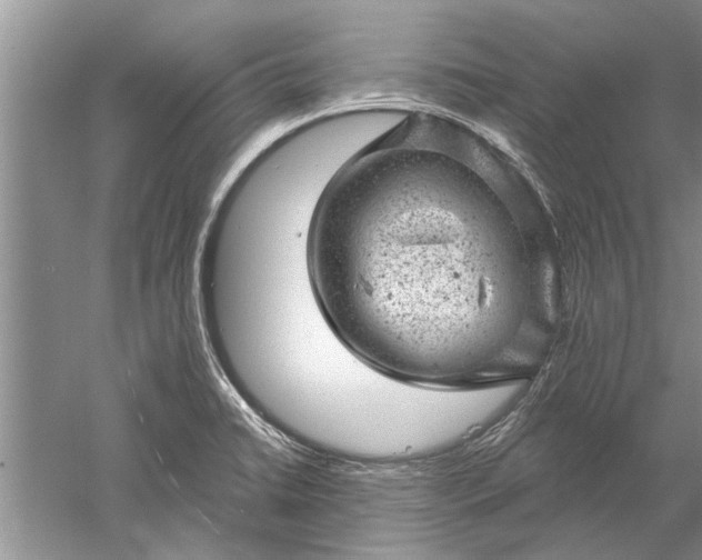 X0000052571422200507152240