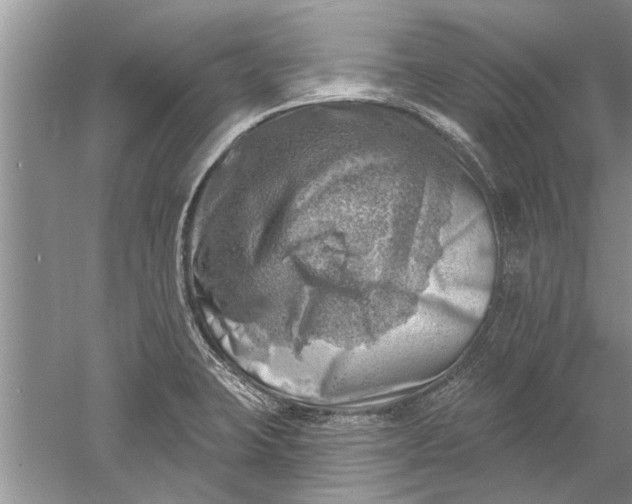 X0000052571423200507152240