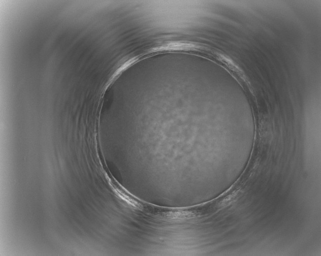 X0000052571425200507152240