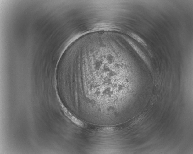 X0000052571431200507152240