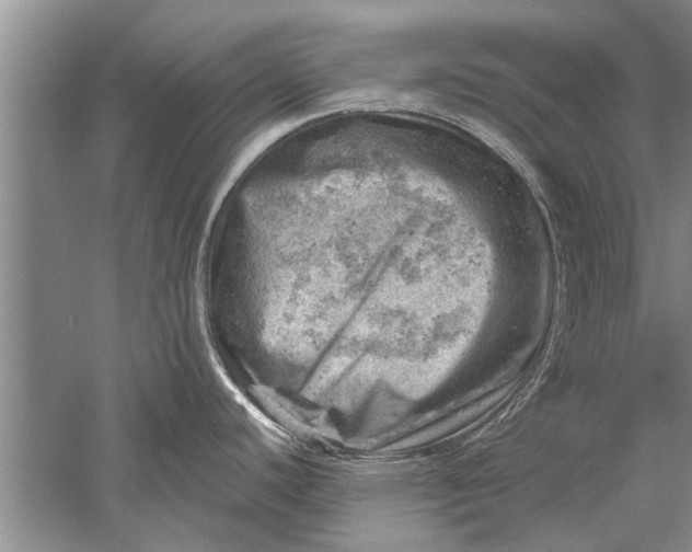 X0000052571440200507152240