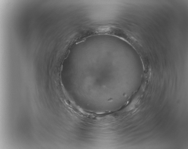 X0000052571441200507152240