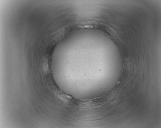 X0000052571442200507152240