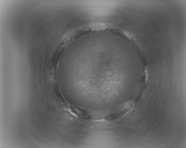 X0000052571445200507152240