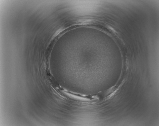 X0000052571449200507152240