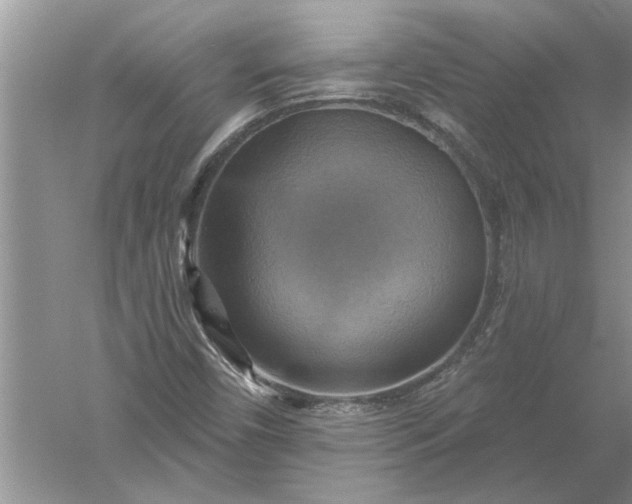 X0000052571450200507152240