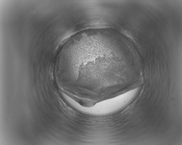 X0000052571451200507152240