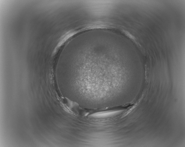 X0000052571453200507152239