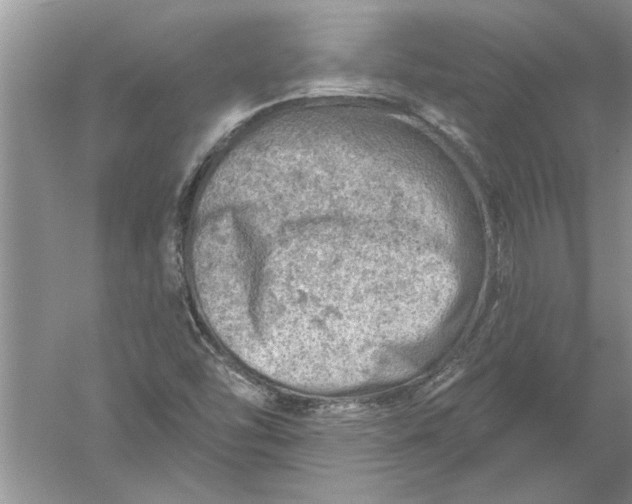 X0000052571454200507152239