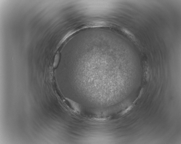 X0000052571457200507152239