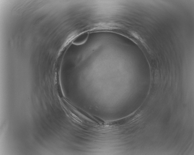 X0000052571459200507152239