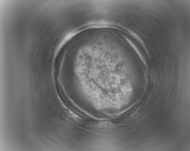 X0000052571464200507152239