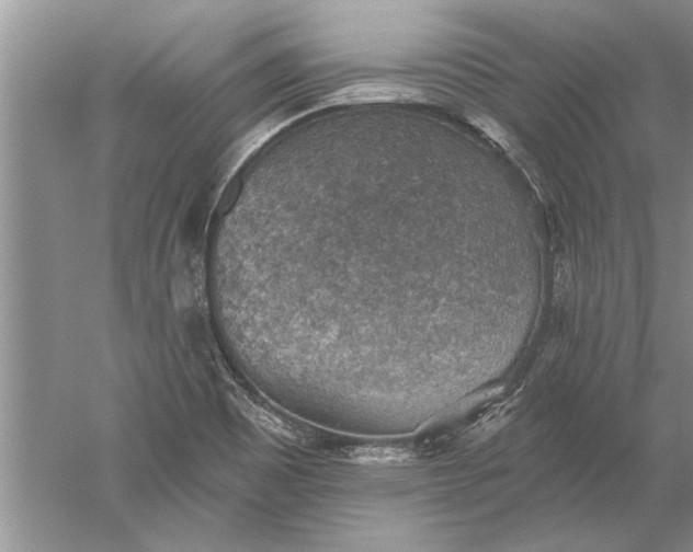 X0000052571465200507152239