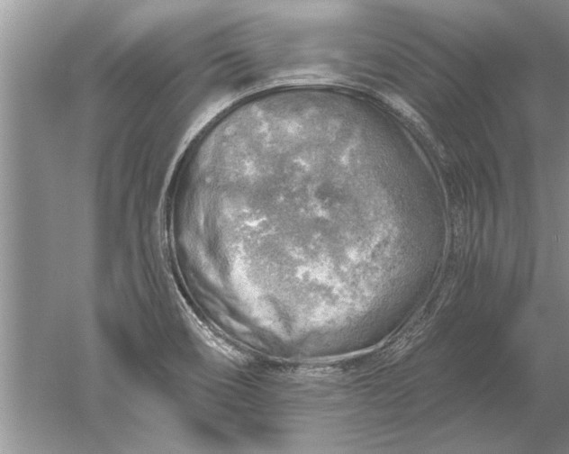 X0000052571466200507152239