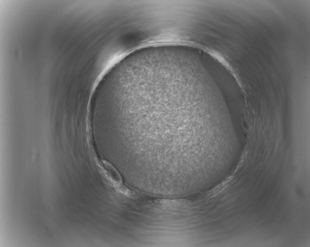 X0000052571469200507152239