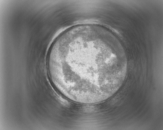 X0000052571470200507152239