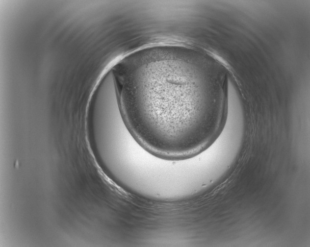 X0000052571471200507152239