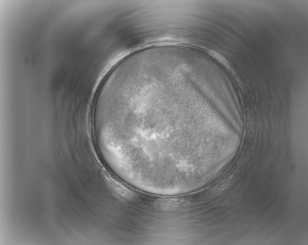 X0000052571474200507152239