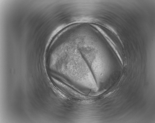 X0000052571480200507152239