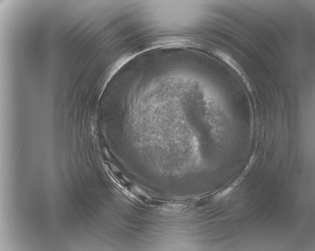 X0000052571481200507152239