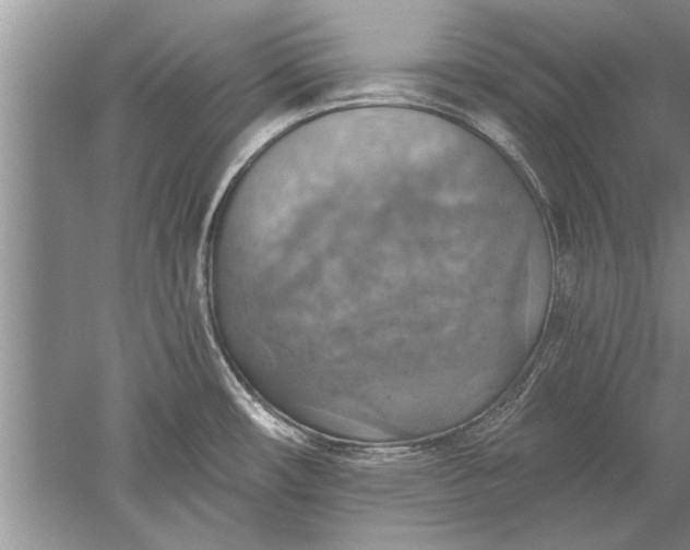 X0000052571482200507152239