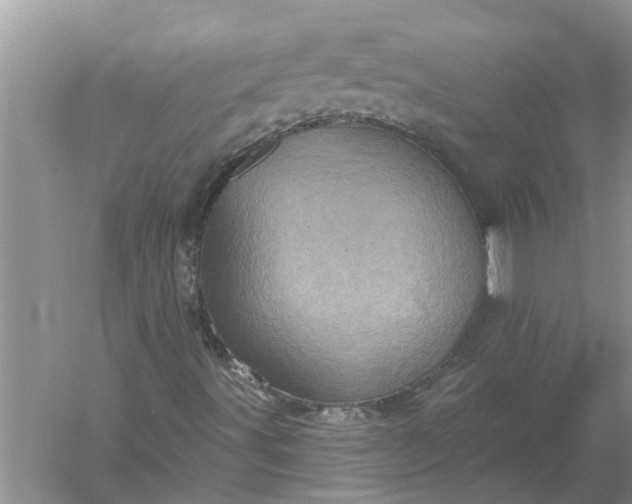 X0000052571491200507152238