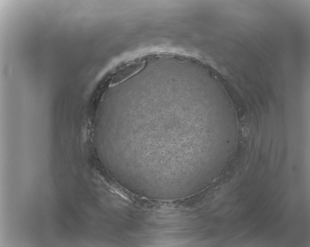 X0000052571495200507152238