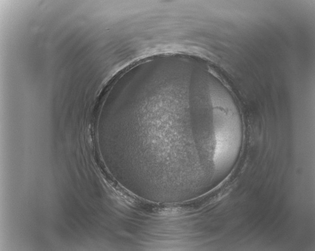 X0000052571497200507152238