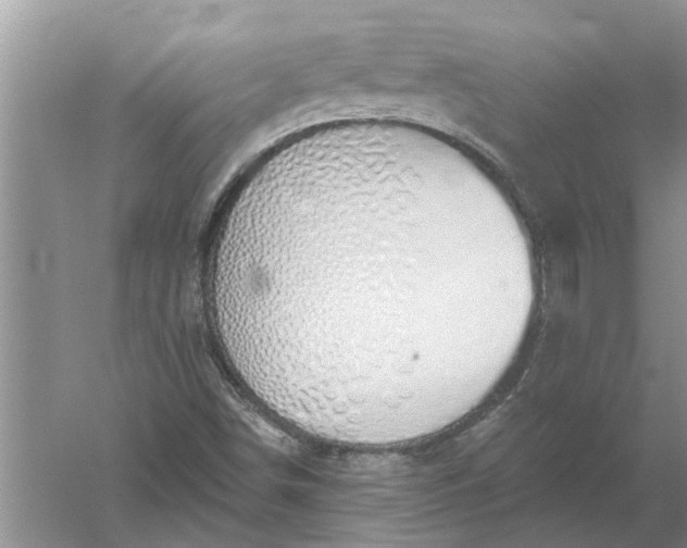 X0000052571498200507152238