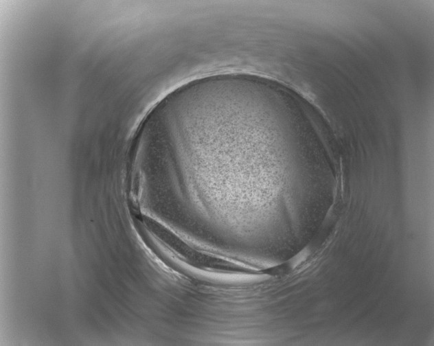 X0000052571500200507152238