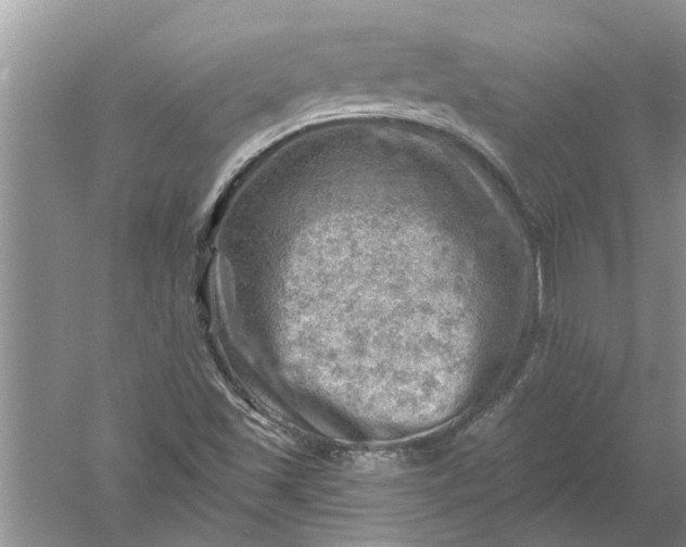 X0000052571501200507152238