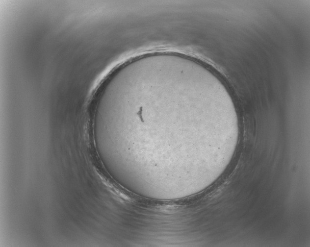 X0000052571502200507152238