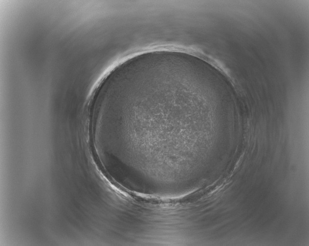 X0000052571504200507152238