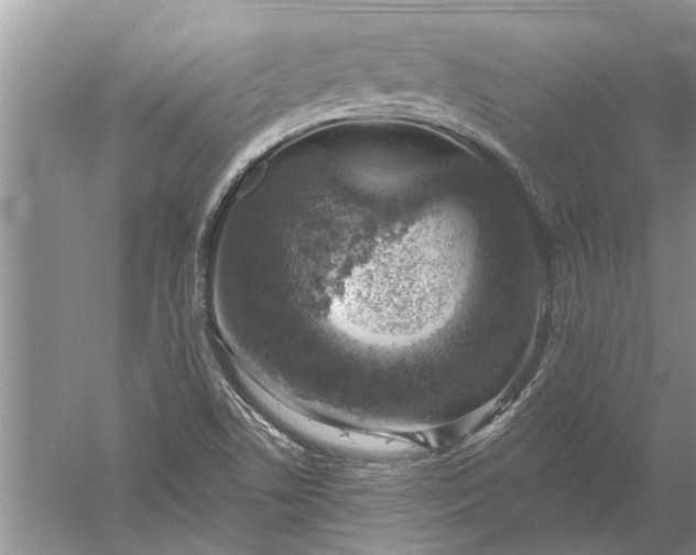 X0000052571506200507152238