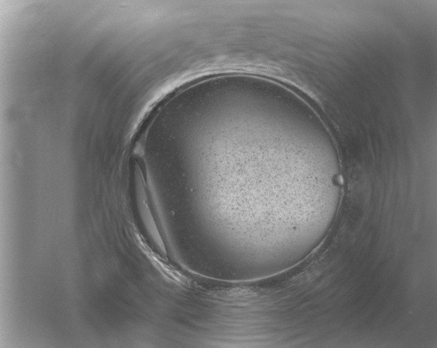 X0000052571507200507152238