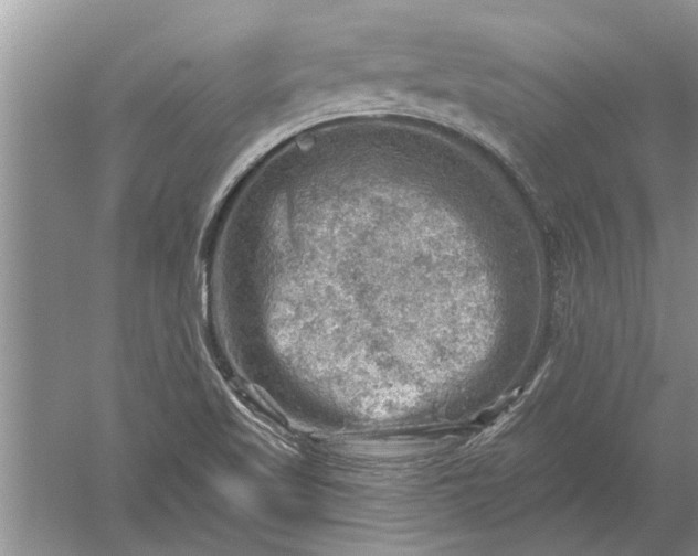 X0000052571509200507152238