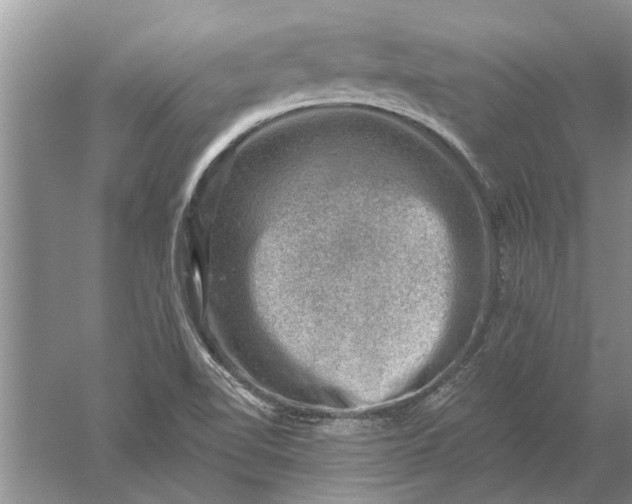 X0000052571510200507152238