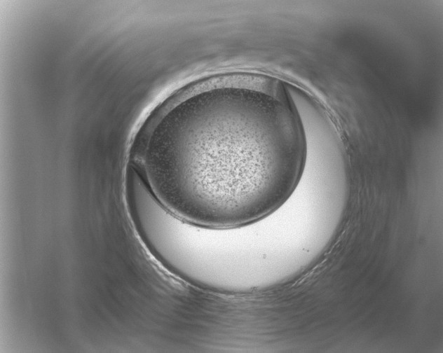 X0000052571512200507152238