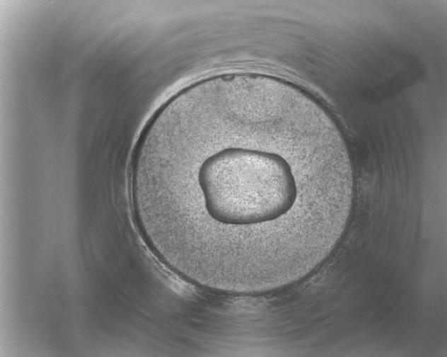 X0000052571514200507152238