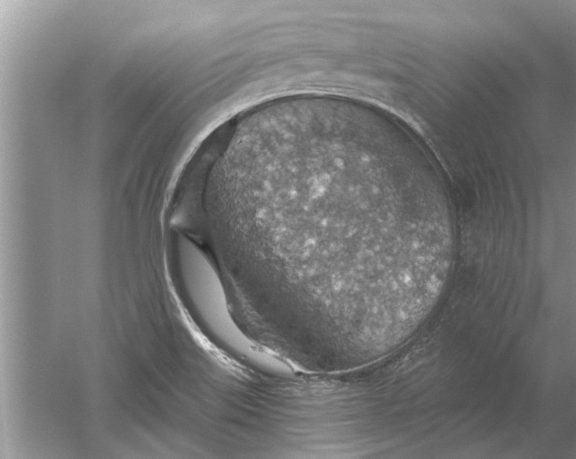 X0000052571515200507152239