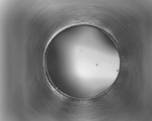 X0000052571516200507152239