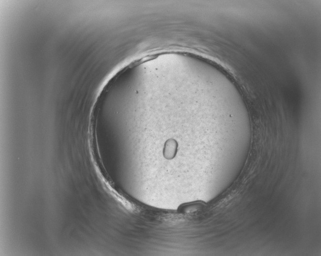 X0000052571518200507152239