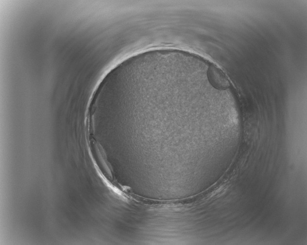 X0000052571519200507152239