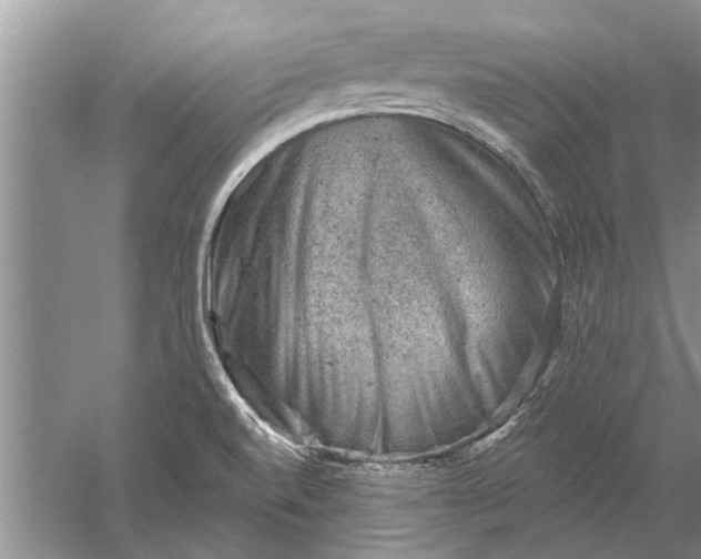 X0000052571520200507152239