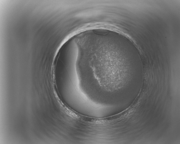 X0000052571522200507152239