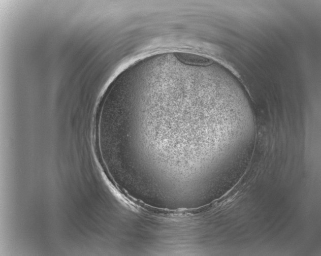 X0000052571523200507152239