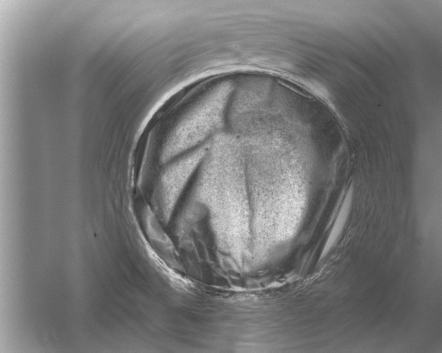 X0000052571524200507152239