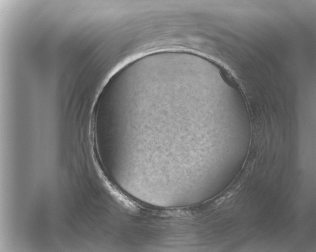 X0000052571526200507152239