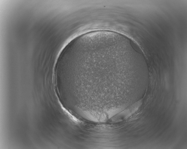 X0000052571527200507152239